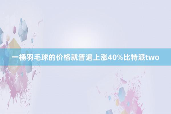 一桶羽毛球的价格就普遍上涨40%比特派two