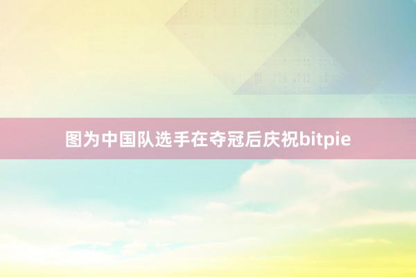 图为中国队选手在夺冠后庆祝bitpie