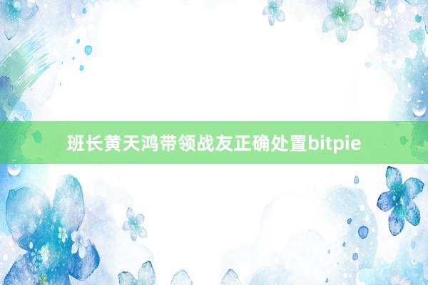 班长黄天鸿带领战友正确处置bitpie