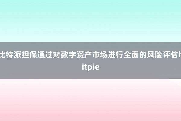 比特派担保通过对数字资产市场进行全面的风险评估bitpie