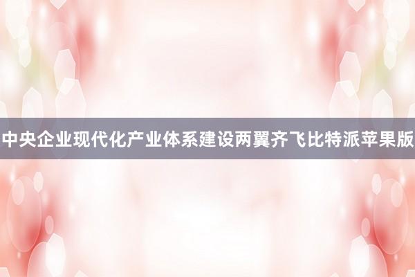 中央企业现代化产业体系建设两翼齐飞比特派苹果版