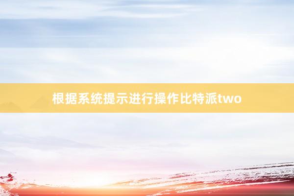 根据系统提示进行操作比特派two