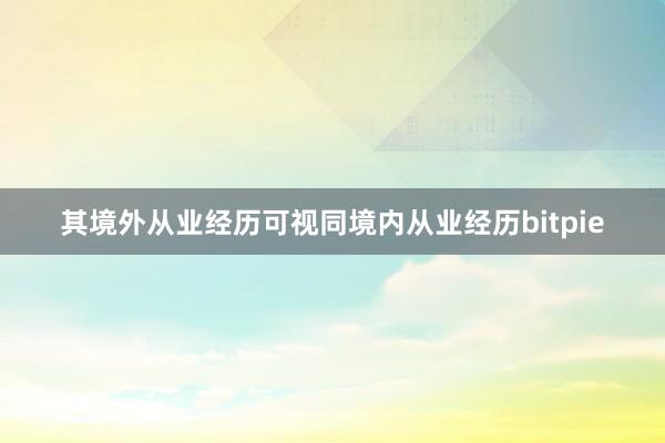 其境外从业经历可视同境内从业经历bitpie