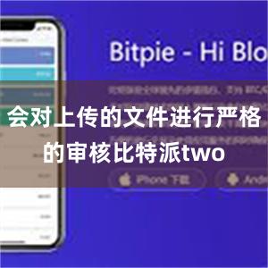 会对上传的文件进行严格的审核比特派two