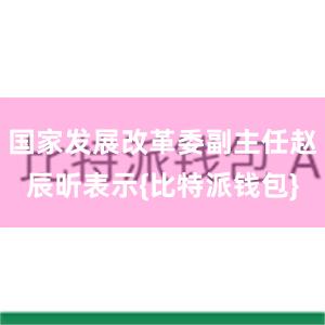 国家发展改革委副主任赵辰昕表示{比特派钱包}