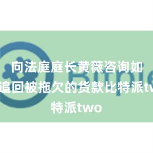 向法庭庭长黄薇咨询如何追回被拖欠的货款比特派two