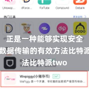 正是一种能够实现安全高效数据传输的有效方法比特派two