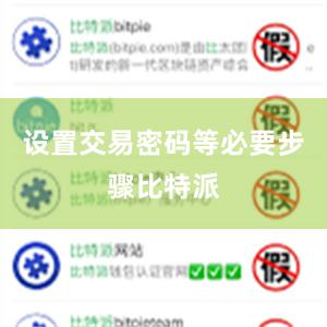 设置交易密码等必要步骤比特派